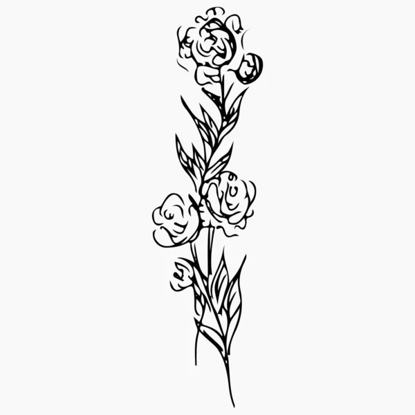 El Çizimi Soyut Şakayık Çiçeği Çizimi Gri Üzerinde İzole Edildi. Çiçek tasarım elementleri, davetiyeler, tebrik kartları, posterler, bloglar. Bir Çiçeğin El Çizimi Çizimi. — Stok Vektör