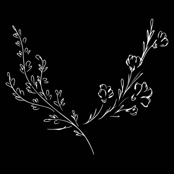 Hand Drawn Vector Illustrations Of Two Branches With Flowers and Leaves Isolated on Black Background. Hand Drawn Outline Sketch of Flowers — Stock Vector