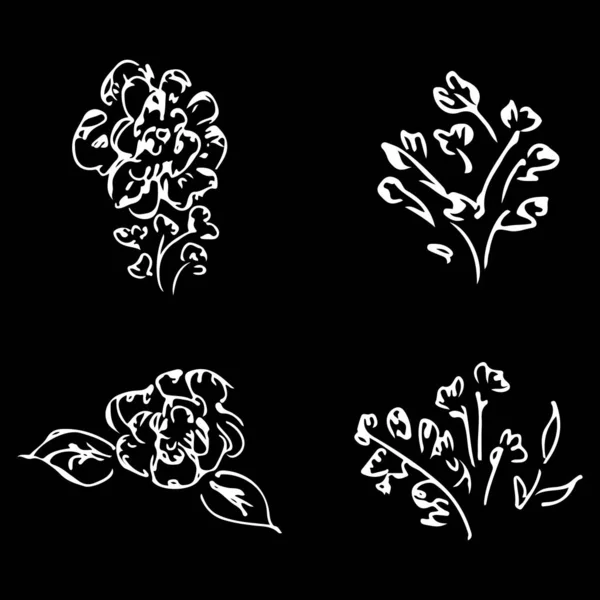 Абстрактные пионы и розы выделены на черном фоне. Ручная коллекция цветов. 4 цветочных графических элемента. Большой векторный набор. Иконки контура — стоковый вектор