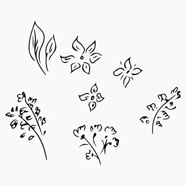Hand Drawn Vector Illustrations Of Abstract Set of Flowers Isolated on White. Hand Drawn Sketch of a Flowers — Stock Vector