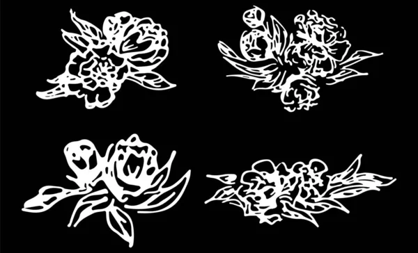 Abstrakte Pfingstrosen und Rosen isoliert auf schwarzem Hintergrund. handgezeichnete florale Kollektion. 4 florale grafische Elemente. großen Vektorsatz. Umrisssymbole — Stockvektor