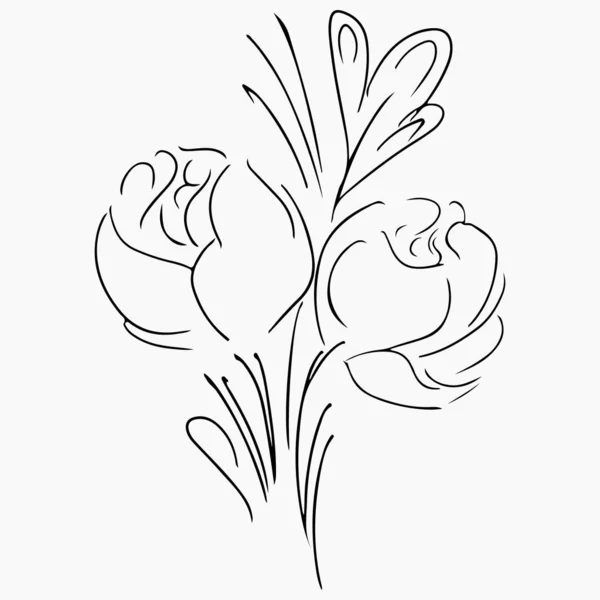 Illustrations vectorielles dessinées à la main de fleurs de pivoine abstraites isolées sur gris. Éléments de conception florale pour invitations, cartes de souhaits, affiches, blogs. Croquis dessiné à la main d'une fleur . — Image vectorielle