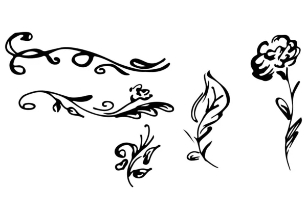 Illustrations vectorielles dessinées à la main d'un ensemble abstrait de fleurs isolées sur du blanc. Croquis dessiné à la main d'une fleur — Image vectorielle