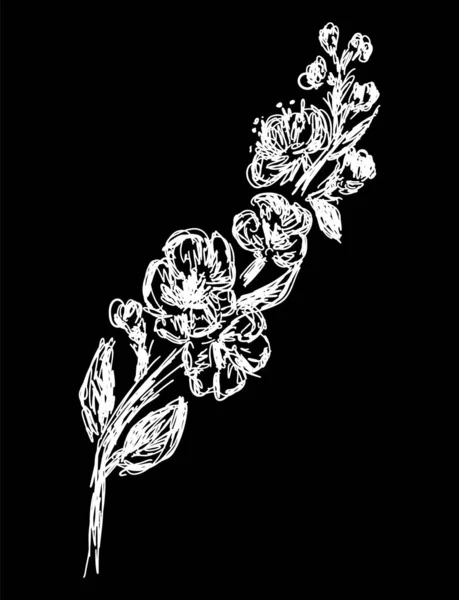 Illustrazione del ramo di sakura vettoriale isolata su sfondo nero. Icona sagoma sakura — Vettoriale Stock