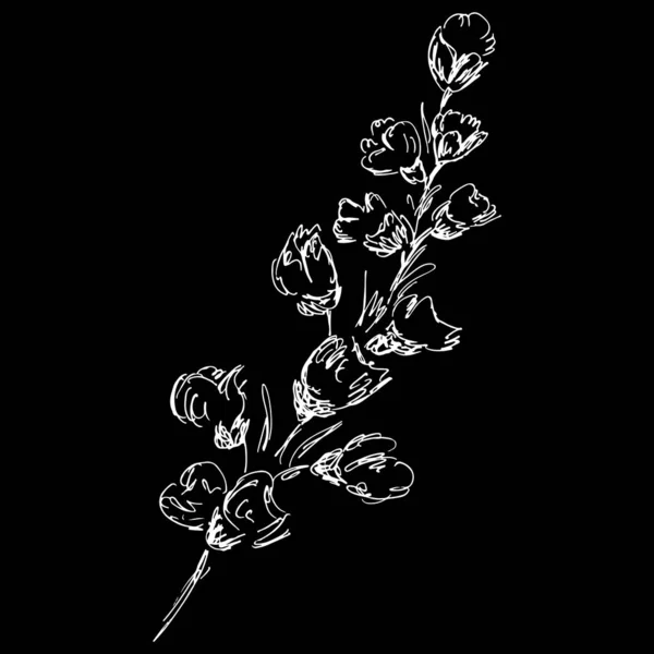 Icona astratta del profilo del ramo di cotone isolata su sfondo nero. Illustrazione vettoriale disegnata a mano — Vettoriale Stock