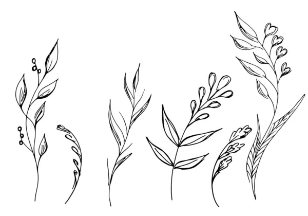 Hand Drawn Vector illustrationer av abstrakt uppsättning av blommor isolerade på vitt. Handritad skiss av en blommor — Stock vektor