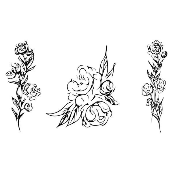 Beyaz arka planda eskiz gül koleksiyonu. El çizimi karalama vektör çizimi. El çizimi eskiz. Düğün tasarımı. Klasik illüstrasyon. İzole vektör tasarımı