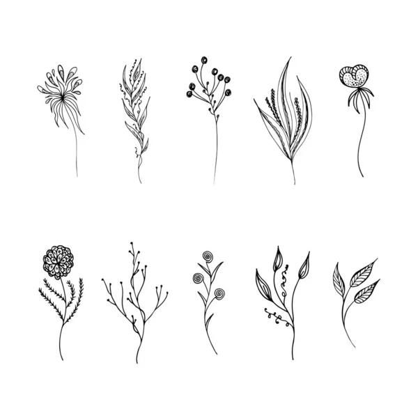 Ligne art fleurs définir contour dans le style dessiné à la main. Collection florale vintage, grand design pour tous les usages. Fleurs noires ensemble contour main sur fond blanc. Ligne d'encre dessinée feuilles tropicales — Image vectorielle