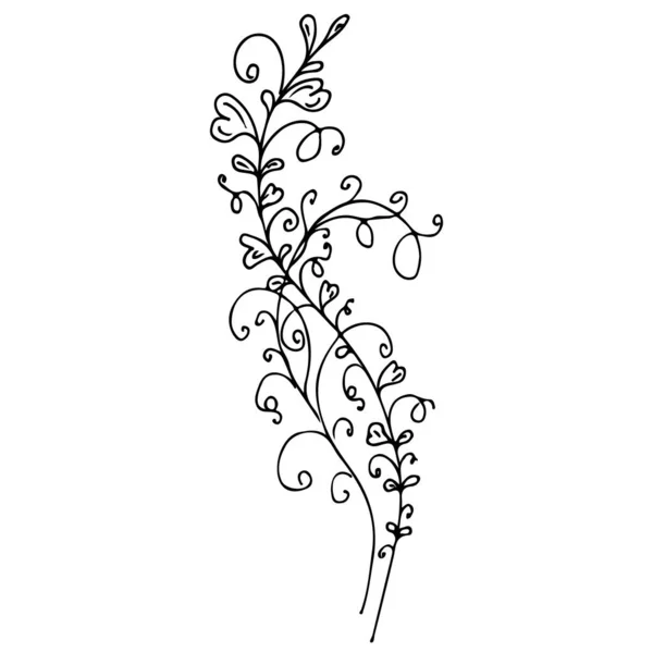 Icona lineare con fiori neri contorno mano su sfondo bianco. Schizzo vettoriale. Design del logo. Graziosa illustrazione disegnata a mano. Schema floreale. Fondo bianco isolato — Vettoriale Stock