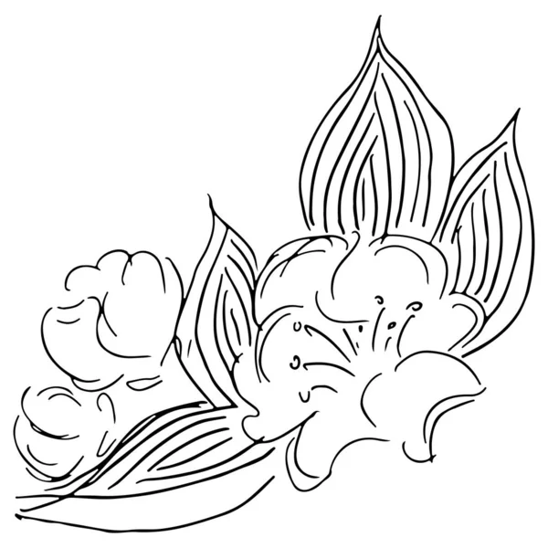 Letní tropický list. Květinová botanická květina. Ručně kreslená vektorová ilustrace. Skica obrysu. Tropické listí palmy ikona — Stockový vektor