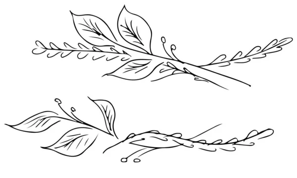Handritade vektor illustrationer av två grenar med blommor och blad isolerade på vitt. Handritade skiss av en blomma. — Stock vektor