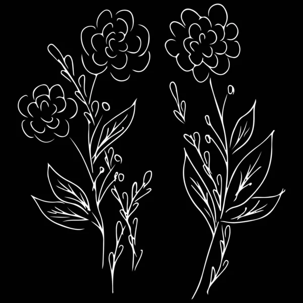 Line art peony hand drawn outline for print design. Vector isolated outline drawing. Flower pattern. Sketch set. Tattoo sketch. Vector peony floral botanical flower. Embroidery design black — Stock Vector