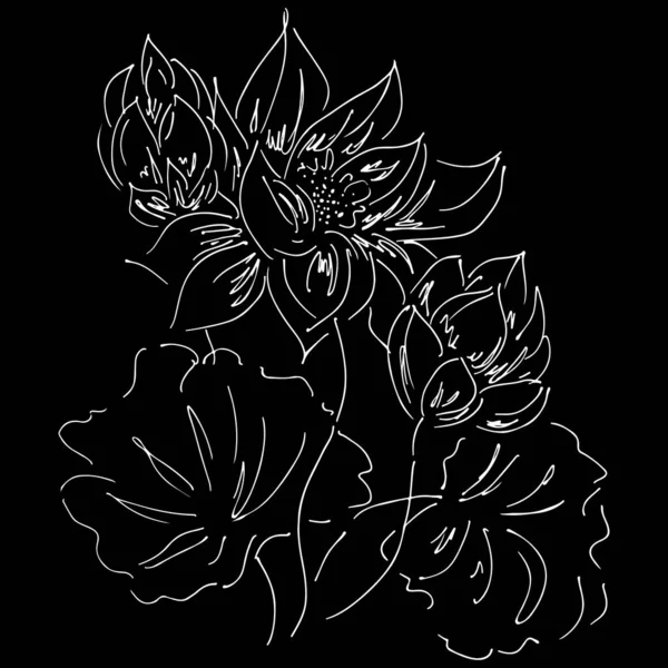 Fleur de lotus abstraite dessinée à la main isolée sur fond noir. Illustration vectorielle. Esquisse sommaire — Image vectorielle