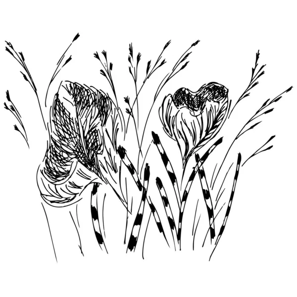 Ein lineares Symbol mit schwarzen Wildblumen umreißt die Hand auf weißem Hintergrund. Vektorskizze. Logo-Design. niedliche handgezeichnete Illustration. Blütenmuster. weißer Hintergrund isoliert — Stockvektor
