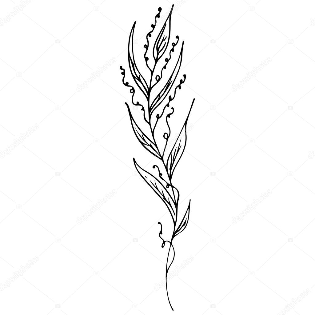 Line art flowers outline icon in hand drawn style. Vintage floral icon, great design for any purposes. Black flowers on white background. Ink line drawn tropical leaves