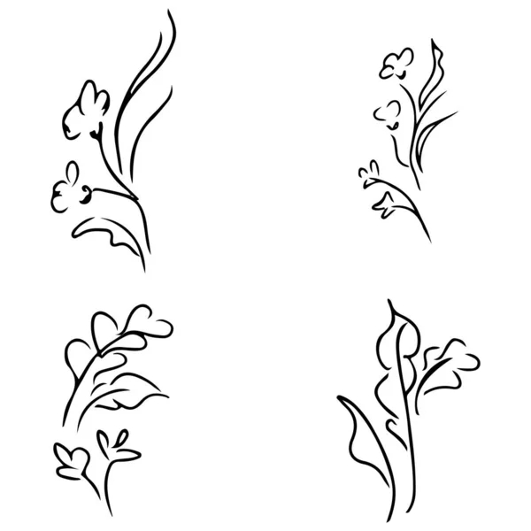 Flores y ramas aisladas sobre fondo blanco. Colección de garabatos dibujada a mano. 4 elementos gráficos florales. Gran conjunto de vectores. Iconos de esquema — Vector de stock