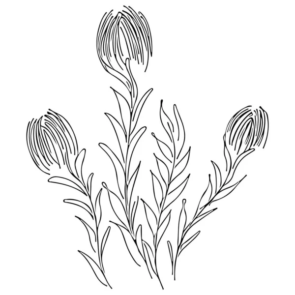 Abstrakta vilda blommor kontur ikon isolerad på vit bakgrund. Handritad vektor illustration. Huvudblommor — Stock vektor