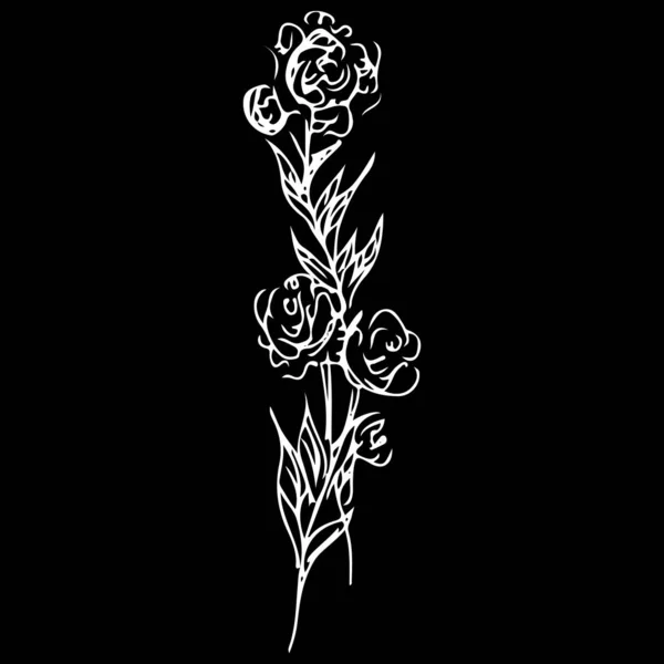 Vintage schets met zwarte roos omtrek pictogram op zachte witte achtergrond. Silhouet symbool. Logo illustratie. Eenvoudige vectorillustratie. Roos vector pictogram — Stockvector