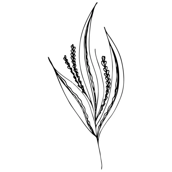 Γραμμή τέχνη λουλούδια περίγραμμα εικονίδιο στο χέρι που στυλ. Vintage floral icon, εξαιρετικό σχέδιο για κάθε σκοπό. Μαύρα λουλούδια σε λευκό φόντο. Γραμμές μελανιού από τροπικά φύλλα — Διανυσματικό Αρχείο