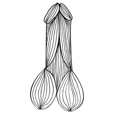 Abstract hand drawn penis icon isolated on white background. Human organs element icon. Vector illustration. Line art. Sketch