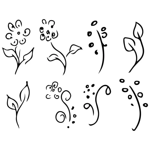 Flowers and branches hand drawn doodle collection isolated on white background. 8 floral graphic elements. Big vector set. Outline set — Stock Vector