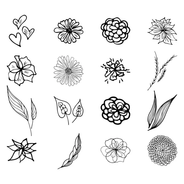 ชุดใหญ่ของดอกไม้เขตร้อนฤดูร้อน ชุดดอกไม้พฤกษศาสตร์ดอกไม้แยกกันบนพื้นหลังสีขาว การรวบรวมเวกเตอร์ที่วาดด้วยมือ พฤกษศาสตร์ฮาวายธรรมชาติ ไอคอนปาล์มเขตร้อน คอลเลกชันเวกเตอร์ฮาวาย — ภาพเวกเตอร์สต็อก