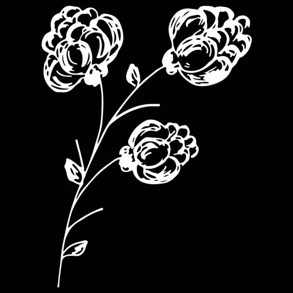 Абстрактные дикие ягоды выделяются значком на черном фоне. Икона креативной люксовой моды. Векторная иллюстрация. Логотип диких ягод — стоковый вектор