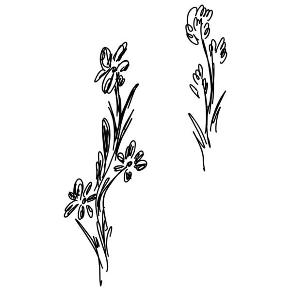 Hand Drawn Vector illustrationer av abstrakt uppsättning av blommor isolerade på vitt. Handritad skiss av en blommor — Stock vektor