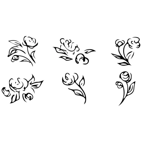 Rose outline set. Isolated drawing. Vintage sketch. Nature vector illustration. Vector illustration art. Contour sketch. Contour symbol. Vintage floral pattern. Flower background — Stock Vector