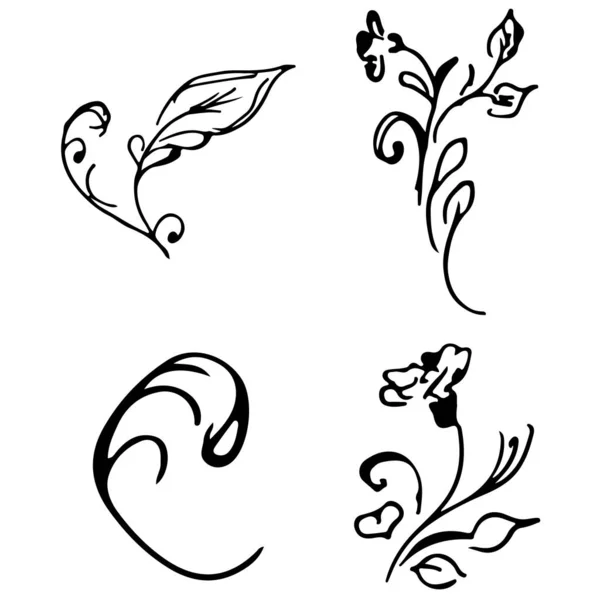 Flowers and branches hand drawn doodle collection isolated on white background. 4 floral graphic elements. Big vector set. Outline collection — Stock Vector