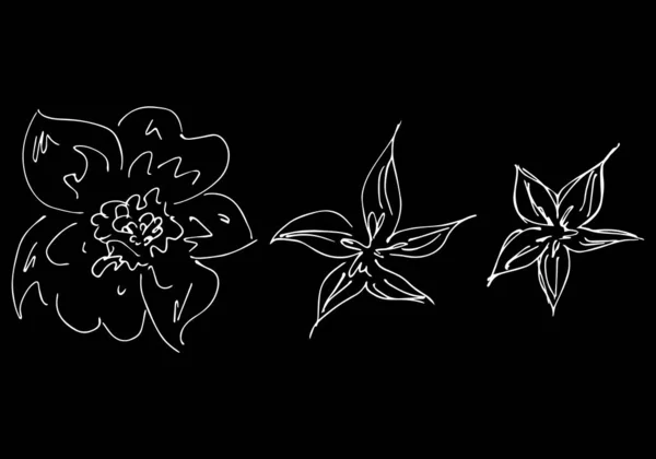 Τρία αφηρημένα άγρια λουλούδια απομονωμένα σε μαύρο φόντο. Χειροποίητη διανυσματική απεικόνιση. Συλλογή αγριολούλουδων. Περίγραμμα floral στοιχεία — Διανυσματικό Αρχείο