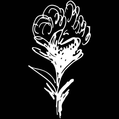 Siyah arkaplanda soyut pamuk ana hatları simgesi izole edildi. Yaratıcı lüks moda logosu konsept ikonu. El çizimi vektör çizimi. Pamuk logosu