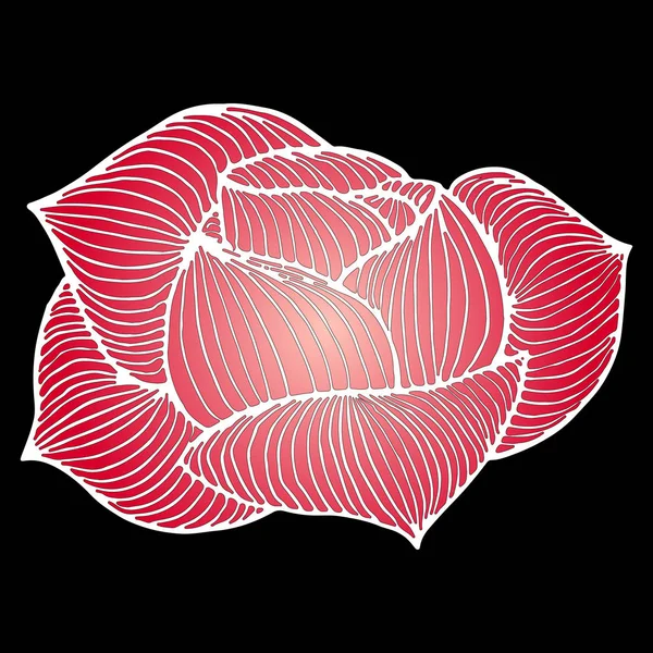 Abstract hand drawn pink rose flower isolated on black background. Vector illustration. Line art. Sketch — Stock Vector