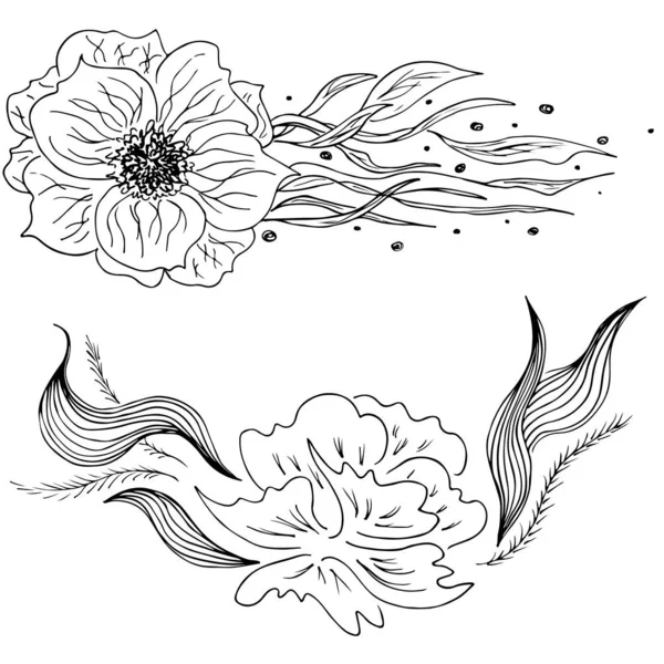 Conjunto de flores tropicales de verano. Conjunto de flores botánicas florales aisladas sobre fondo negro. Colección vectorial dibujada a mano. Naturaleza botánica de Hawai. Icono de palma tropical. Hawai vector tatuaje ilustración — Archivo Imágenes Vectoriales