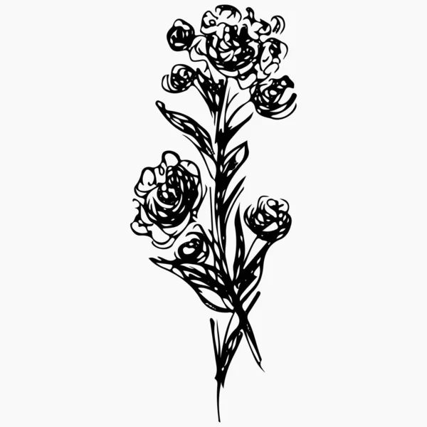 Ручной рисунок векторных иллюстраций абстрактного пионного цветка, изолированного на сером. Элементы цветочного дизайна для приглашений, поздравительных открыток, плакатов, блогов. Ручной рисунок цветов . — стоковый вектор