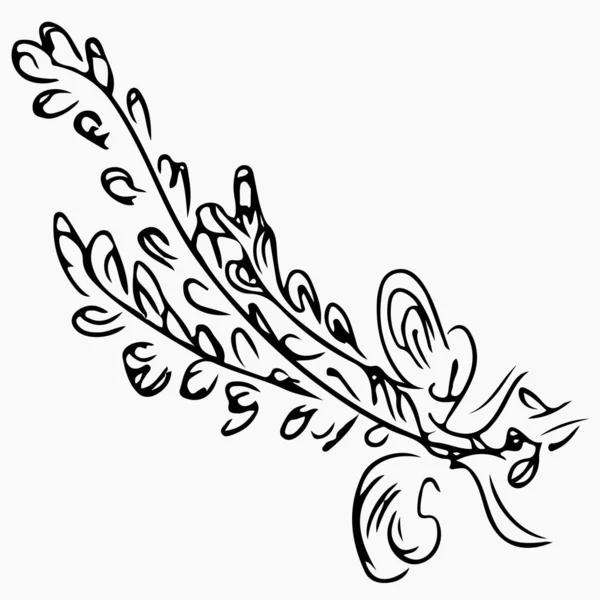 Lavandula angustifolia namı diğer gri arka planda genel lavanta çizimi. Aromaterapi serisi. El çizimi vektör çizimi. Doodle, çizgi sanatı. — Stok Vektör