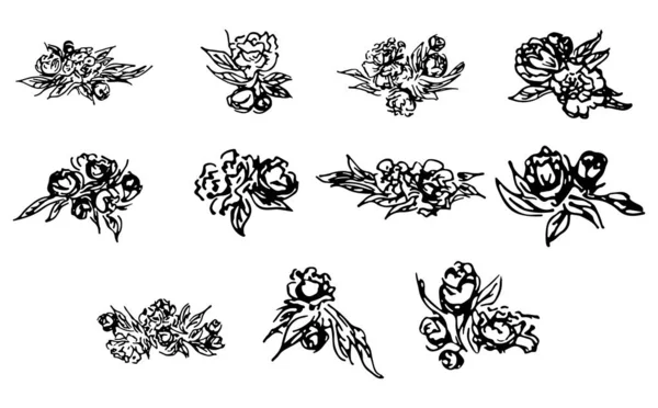 Abstracte pioenen en rozen geïsoleerd op witte achtergrond. Met de hand getekend bloemen collectie. 11 grafische elementen voor bloemen. Grote vector ingesteld. Overzicht pictogrammen — Stockvector