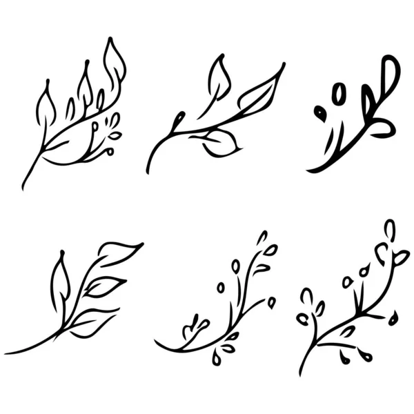 Flowers and branches isolated on white background. Hand drawn doodle collection. 6 floral graphic elements. Big vector set. Outline collection — Stock Vector