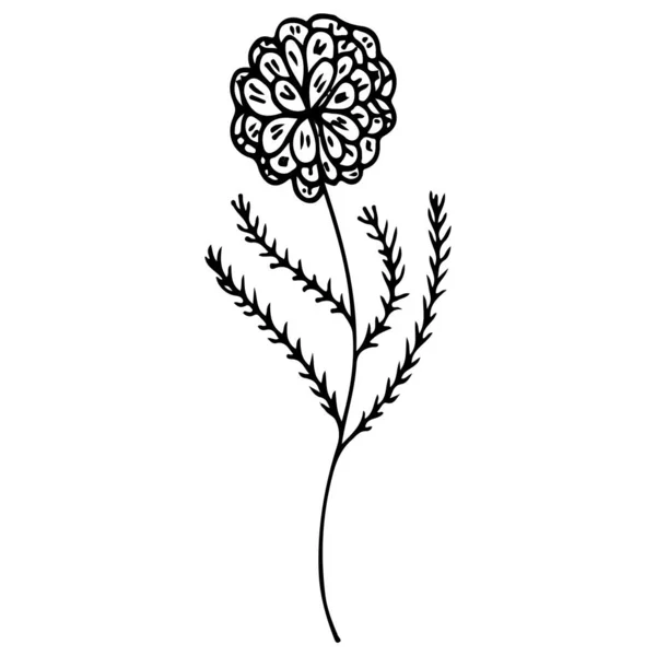 Line art flowers outline icon in hand drawn style. Vintage floral icon, great design for any purposes. Black flowers on white background. Ink line drawn tropical leaves — Stock Vector