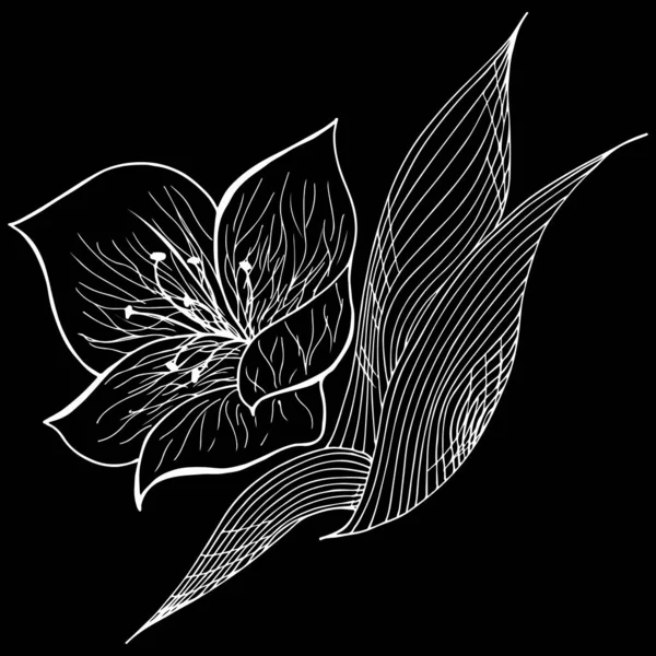Вигравірувана рука намальована абстрактна орхідея. Ретро квіти ручної контурної орхідеї, відмінний дизайн для будь-яких цілей. Контурний вектор. Природний фон. Тропічний завод. Квітковий дизайн. Абстрактний художній фон — стоковий вектор