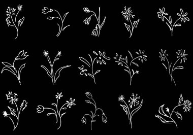 Çiçekler ve dallar siyah arka planda el yapımı koleksiyon. 15 çiçek grafik elementi. Büyük vektör kümesi. Taslak koleksiyonu