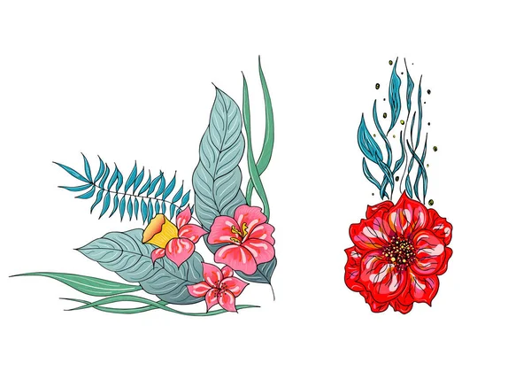 Conjunto de duas flores tropicais coloridas de verão. Floral flor botânica conjunto isolado sobre fundo branco. Coleção vetorial desenhada à mão. Natureza botânica havaiana. Ícone de palma tropical. Ilustração havaiana —  Vetores de Stock