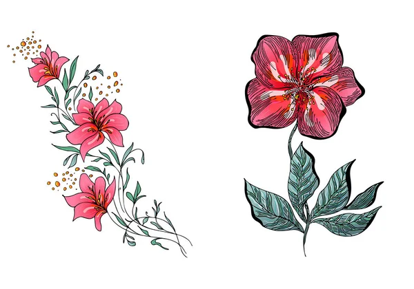 Set von zwei Sommer bunten tropischen Blumen. Blumen botanische Blume gesetzt isoliert auf weißem Hintergrund. handgezeichnete Vektorsammlung. botanische hawaiianische Natur. tropische Palmen. hawaiianische Illustration — Stockvektor