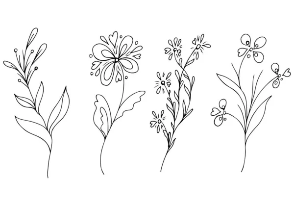 Velký obrys letních tropických květin. Květinové botanické květinové sady izolované na bílém pozadí. Ručně kreslená vektorová sbírka. Botanická havajská příroda. Tropická ikona dlaně. Havajská sbírka — Stockový vektor
