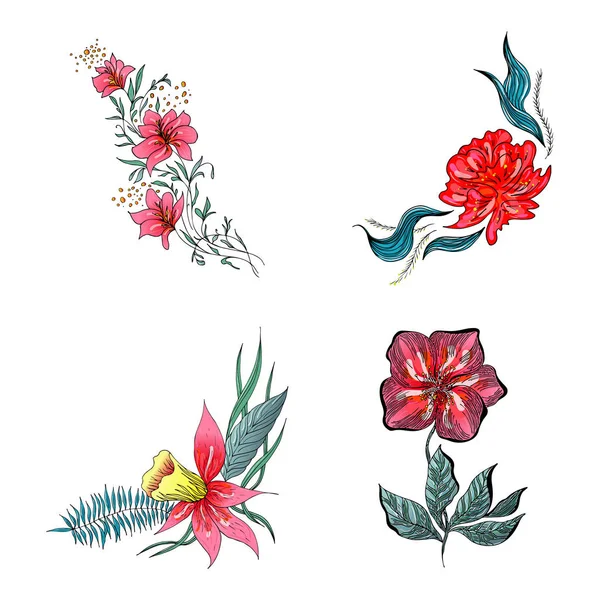 4 yaz renkli tropikal çiçek seti. Çiçeksel bitki örtüsü beyaz arka planda izole edilmiş. El çizimi vektör koleksiyonu. Botanik Hawaii doğası. Tropik avuç içi ikonu. Hawaii illüstrasyonu