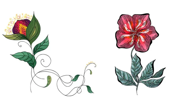 Set von zwei Sommer bunten tropischen Blumen. Blumen botanische Blume gesetzt isoliert auf weißem Hintergrund. handgezeichnete Vektorsammlung. botanische hawaiianische Natur. tropische Palmen. hawaiianische Illustration — Stockvektor