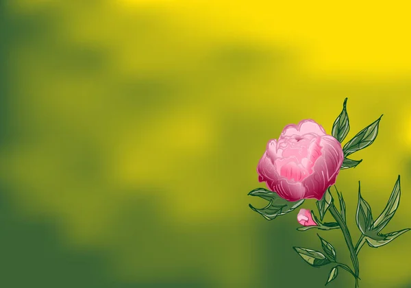 Handritad pion blomma. Pion blomma i platt stil på en grön bakgrund med kopia utrymme — Stock vektor