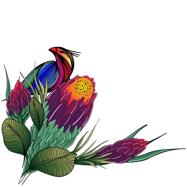 色彩斑斓的扁平手绘着热带的花朵和被黑色背景隔离的小鸟。 矢量图解。 奇异的热带鸟类和植物。 设计元素。 抽象的艺术背景。 动物生命 — 图库矢量图片