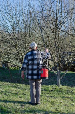 böcek ilacı püskürtme bir narenciye Ekim tarım işçisi.