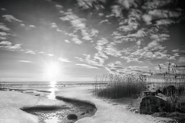 Chudskoy Gölü 'nün siyah beyaz resmi